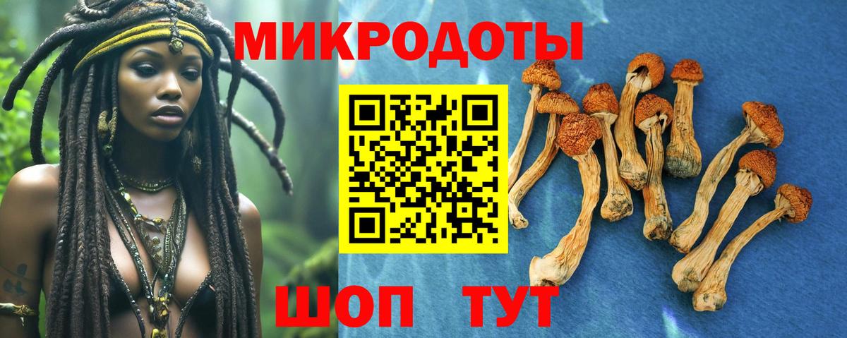 Псилоцибиновые грибы Magic Shrooms  Галлюциногенные грибы мицелий  Ишим  Вход с VPN 