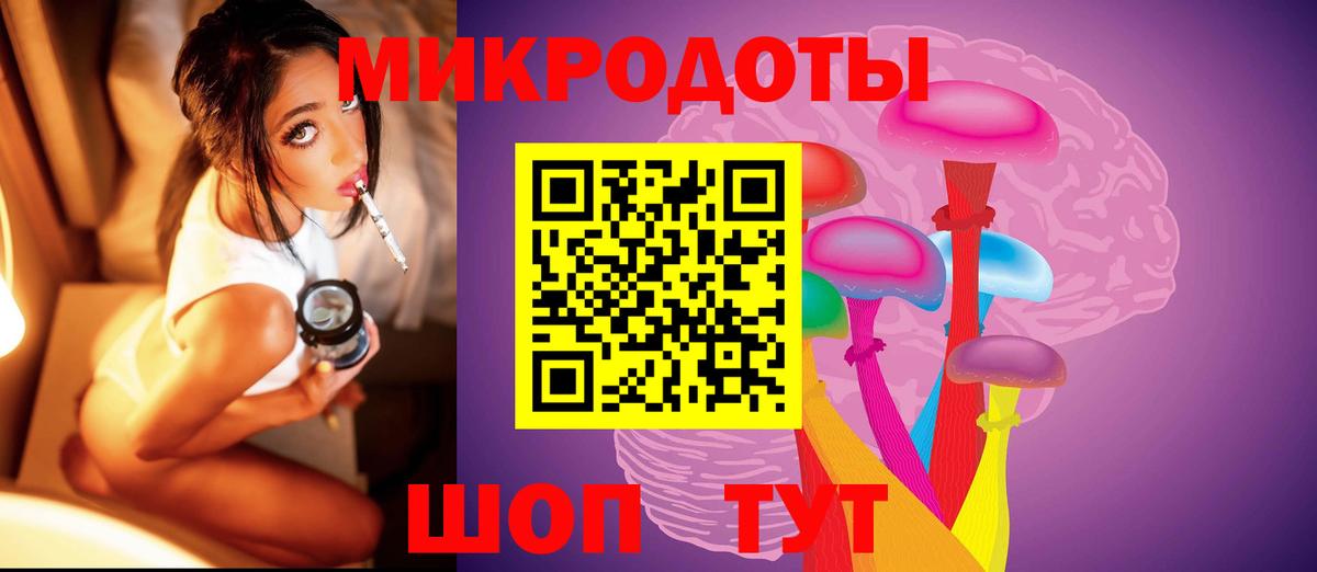Псилоцибиновые грибы Cubensis Ишим
